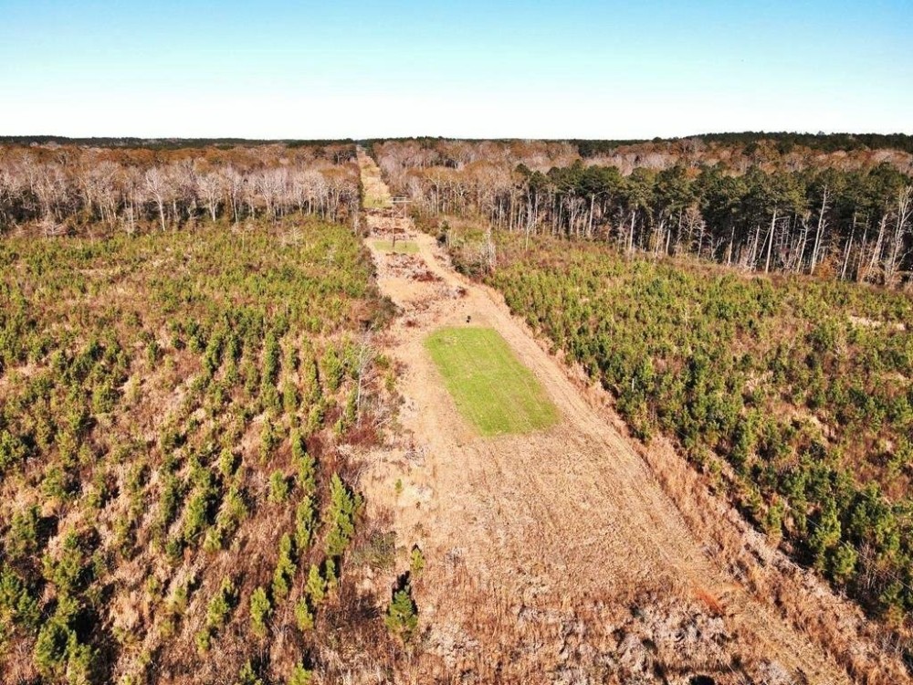 58.06 Acres Hunting Timber Land for Sale NPSD Southwest MS featured image