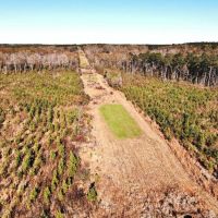 58.06 Acres Hunting Timber Land for Sale NPSD Southwest MS