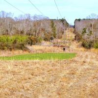 58.06 Acres Hunting Timber Land for Sale NPSD Southwest MS images 2