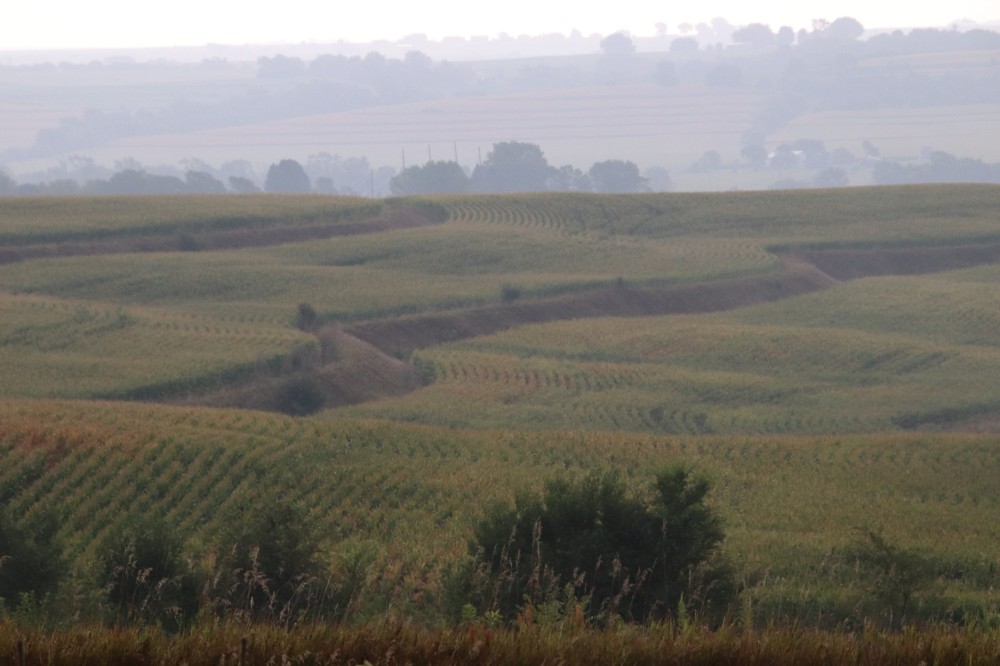 Mills County Farm and Hunt featured image