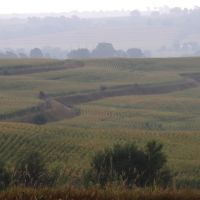 Mills County Farm and Hunt