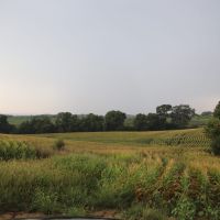 Mills County Farm and Hunt images 2