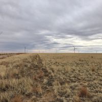 Stone Pointe Ranch Section 30 Half images 4