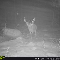 Quality hunting parcel QDM area Shawano County WI