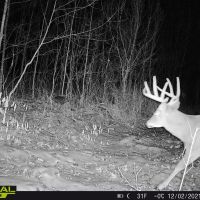 Quality hunting parcel QDM area Shawano County WI images 4