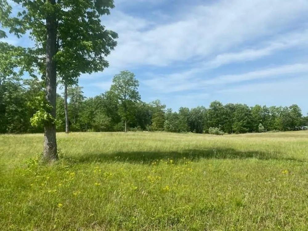 110.08 -acres Beautiful Hardwoods with Pasture featured image