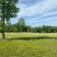 110.08 -acres Beautiful Hardwoods with Pasture