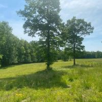 110.08 -acres Beautiful Hardwoods with Pasture images 2