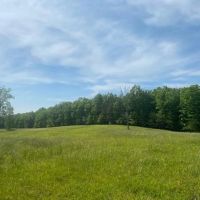 110.08 -acres Beautiful Hardwoods with Pasture images 3