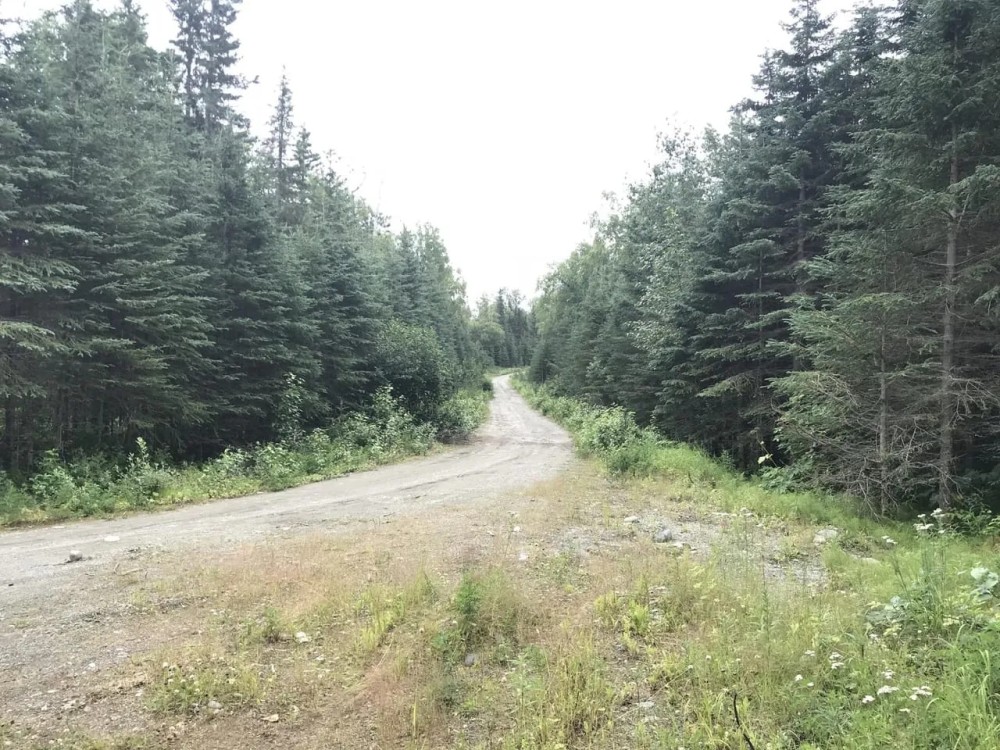 Agate Beach Subdivision featured image