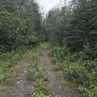 Agate Beach Subdivision images 2