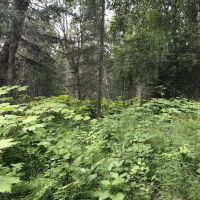 Agate Beach Subdivision images 3