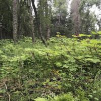 Agate Beach Subdivision images 5