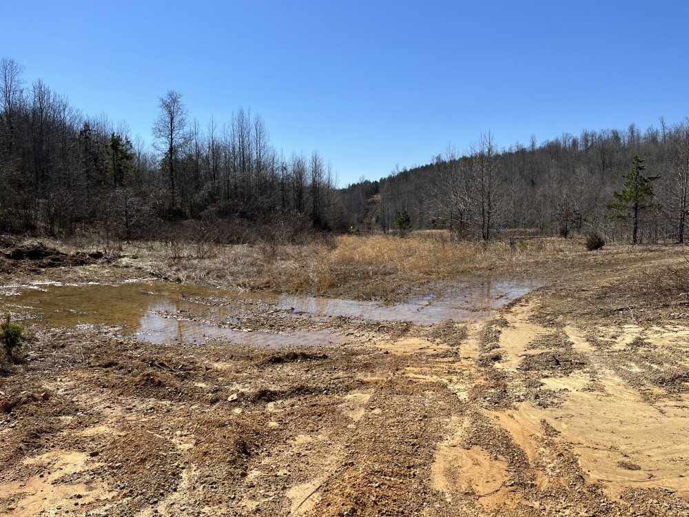 17 Acre for Sale in Leslie Ar featured image