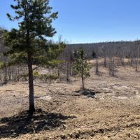 17 Acre for Sale in Leslie Ar images 2
