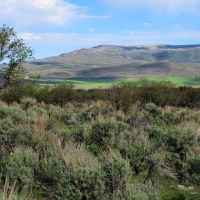 Full Throttle Ranch images 4