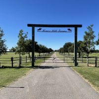 373 Acres Honor Hill Farm in Pearl River County in Poplarville MS images 5