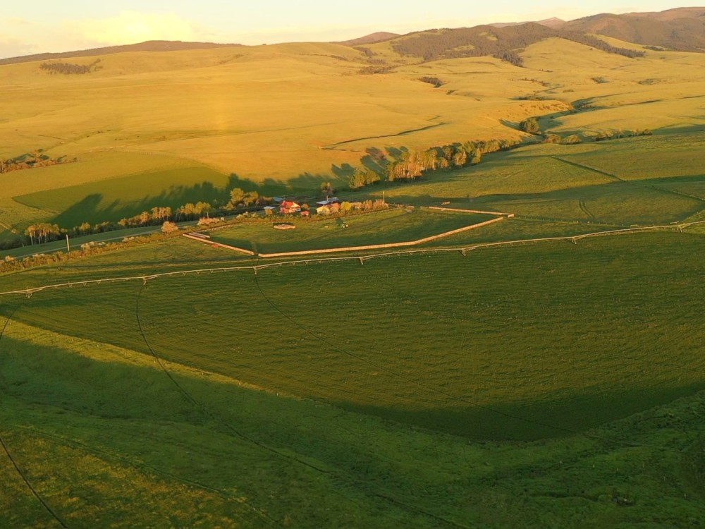 Barnes Creek Ranch featured image