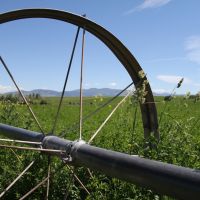 Barnes Creek Ranch images 2