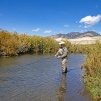 Little Eight Mile Ranch on the Lemhi River images 4