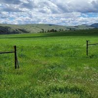 Schock Ranch on the North Fork images 4
