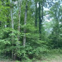 LA - LaSalle 60 acres -