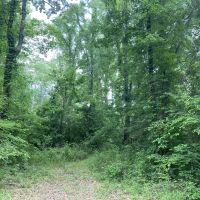 LA - LaSalle 60 acres - images 2