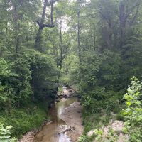 LA - LaSalle 60 acres - images 3