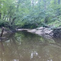 LA - LaSalle 60 acres - images 4