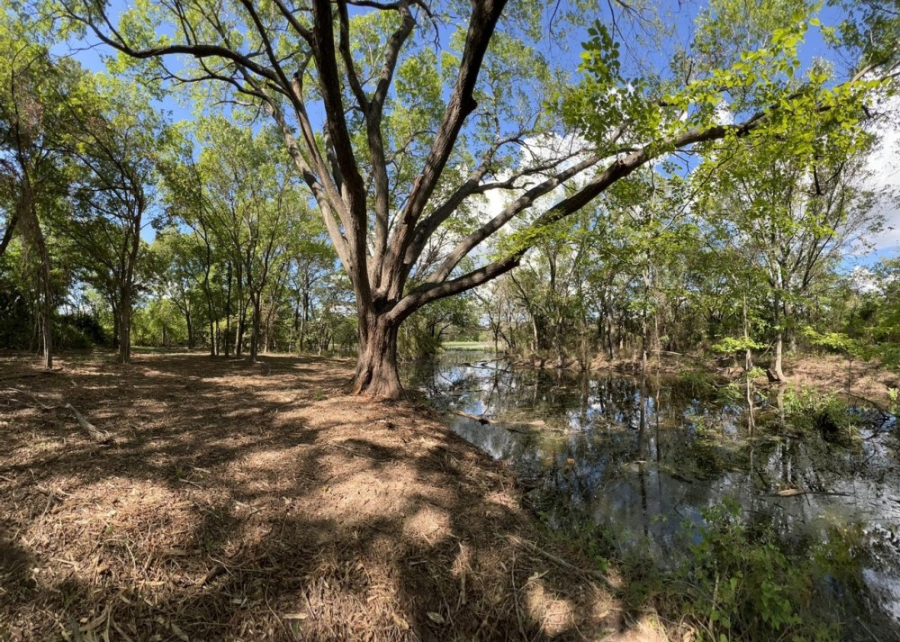 138 Acres in Johnson County featured image