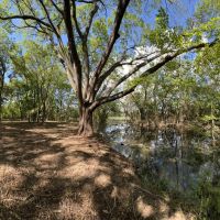 138 Acres in Johnson County