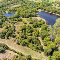 138 Acres in Johnson County images 2