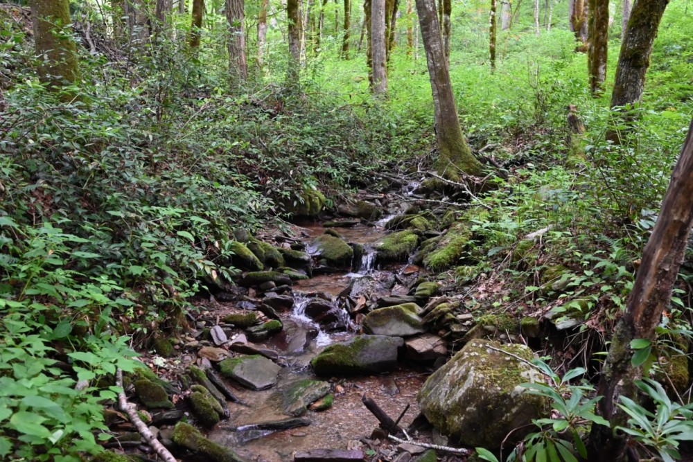Cherry Wood 152 - Ac Swain County NC featured image