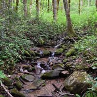 Cherry Wood 152 - Ac Swain County NC