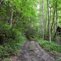 Cherry Wood 152 - Ac Swain County NC images 3