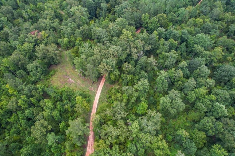 95 Acres Hunting Land for Sale in Hinds County MS featured image