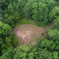 95 Acres Hunting Land for Sale in Hinds County MS images 2