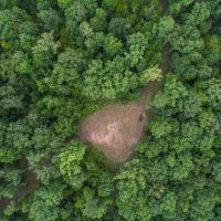 95 Acres Hunting Land for Sale in Hinds County MS images 3