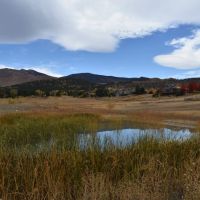 Sage Valley Acres images 4