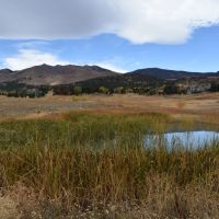 Sage Valley Acres images 5