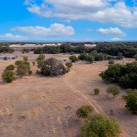 Leaning Tree Ranch images 2