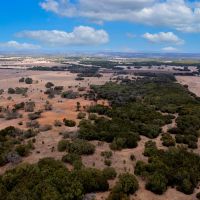 Leaning Tree Ranch images 4