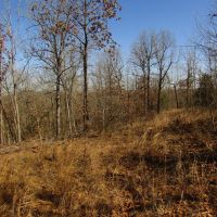 Prime Building Rolling Hill Tracts Choctaw County OK Tract 15 images 2