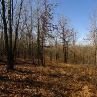 Prime Building Rolling Hill Tracts Choctaw County OK Tract 15 images 3