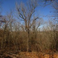 Prime Building Rolling Hill Tracts Choctaw County OK Tract 15 images 4