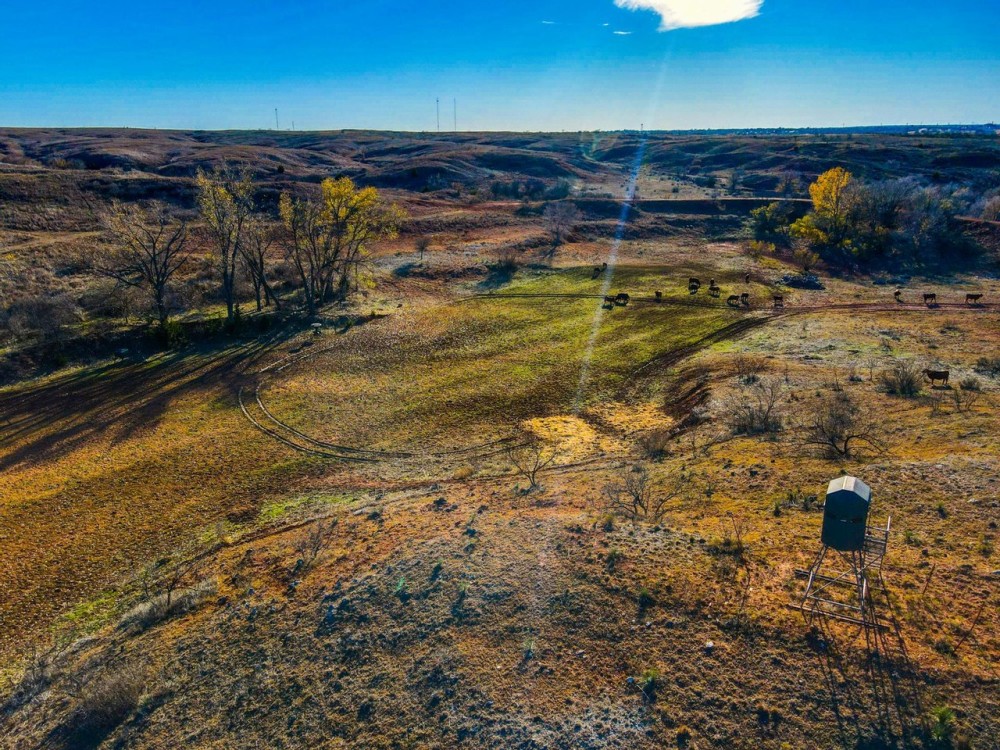 The Ranch featured image