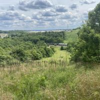 Radebaugh Rd. Westmoreland County - 38 - acres