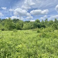 Radebaugh Rd. Westmoreland County - 38 - acres images 3