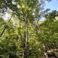 Perfect 62 AC Homesite images 2