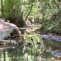 Perfect 62 AC Homesite images 3